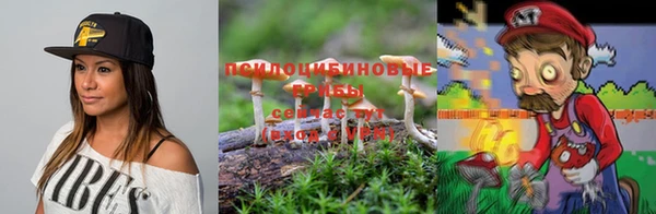 гашик Медвежьегорск