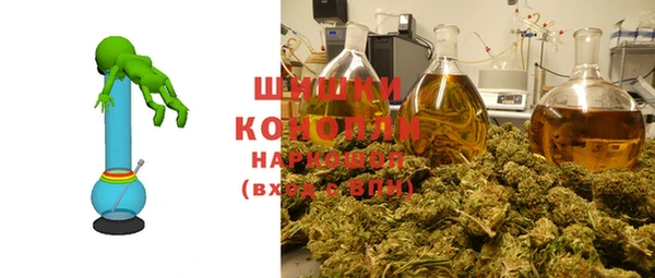 гашик Медвежьегорск