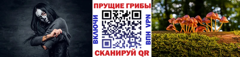 Псилоцибиновые грибы MAGIC MUSHROOMS  Волгодонск 